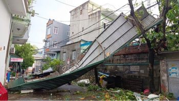 cây đè sau bão Yagi; bảo hiểm