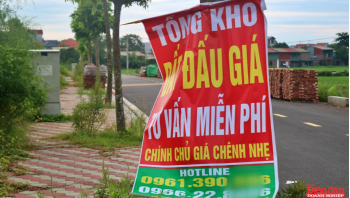 chống bỏ cọc đấu giá đất