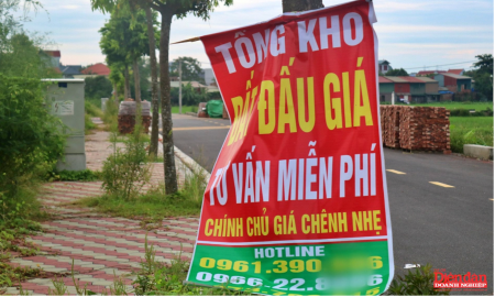 chống bỏ cọc đấu giá đất