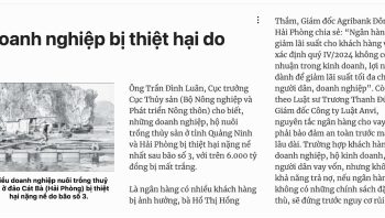 hỗ trợ doanh nghiệp bị thiệt