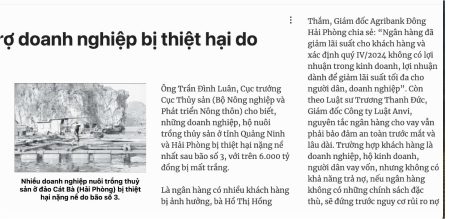 hỗ trợ doanh nghiệp bị thiệt