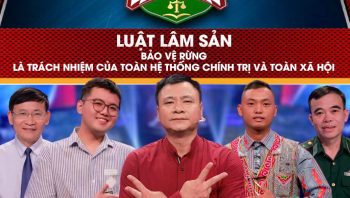 Luật siêu dễ - Luật lâm sản