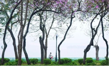 Vietnam renewable energy latest problem.
