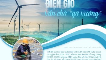 Điện gió vẫn chờ gỡ vướng