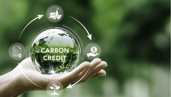 Bao giờ ngân hàng nhận tín chỉ carbon làm tài sản bảo đảm?