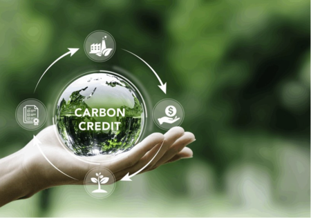 Bao giờ ngân hàng nhận tín chỉ carbon làm tài sản bảo đảm?